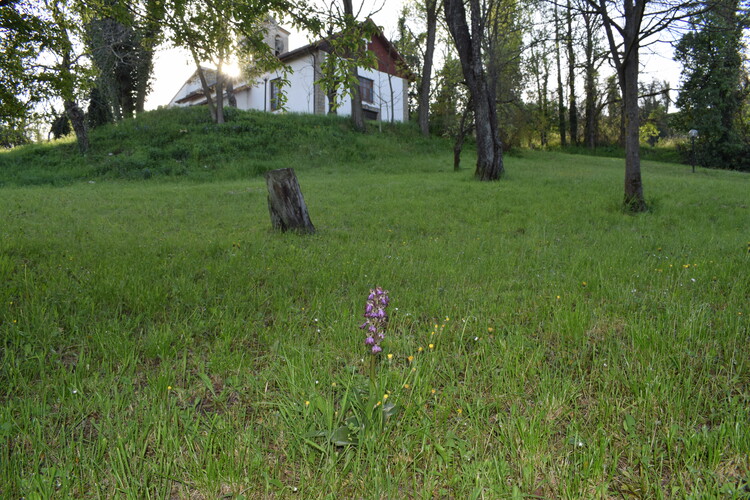 Le Barlie degli Appennini (da Pavia a Bologna)