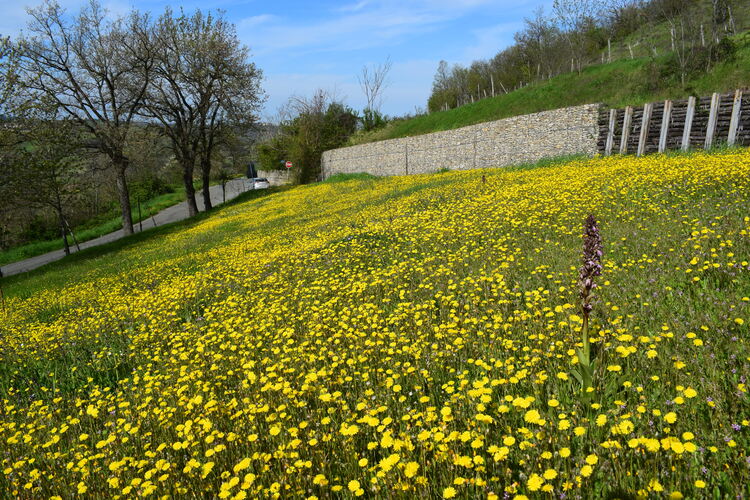 Le Barlie degli Appennini (da Pavia a Bologna)