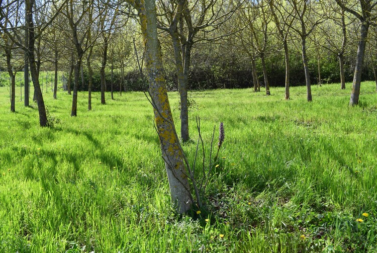 Le Barlie degli Appennini (da Pavia a Bologna)