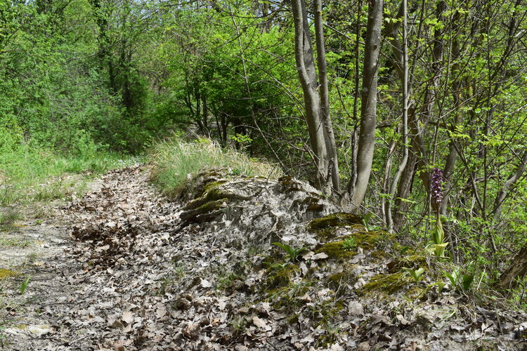 Le Barlie degli Appennini (da Pavia a Bologna)