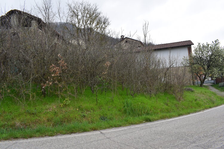 Le Barlie degli Appennini (da Pavia a Bologna)