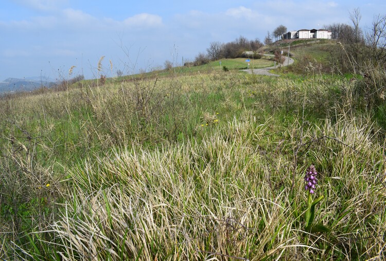 Le Barlie degli Appennini (da Pavia a Bologna)