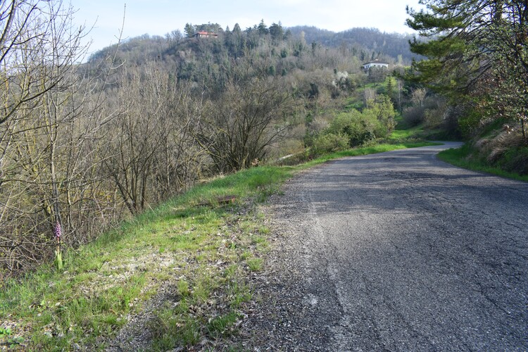 Le Barlie degli Appennini (da Pavia a Bologna)