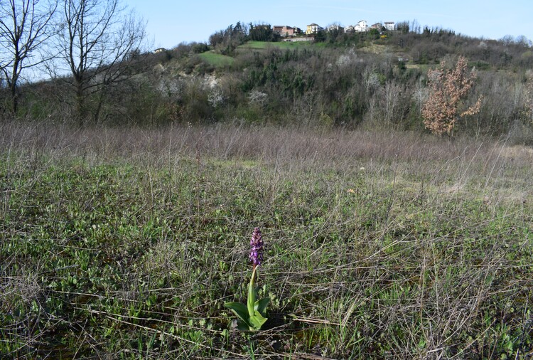 Le Barlie degli Appennini (da Pavia a Bologna)
