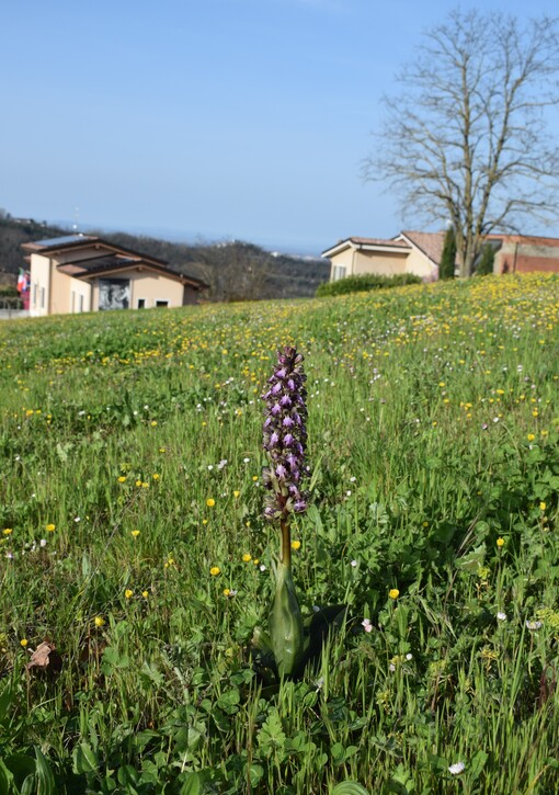 Le Barlie degli Appennini (da Pavia a Bologna)