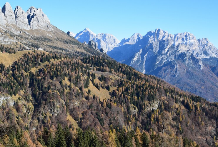 Col di Luna da Forcella Aurine (Dolomiti Agordine)