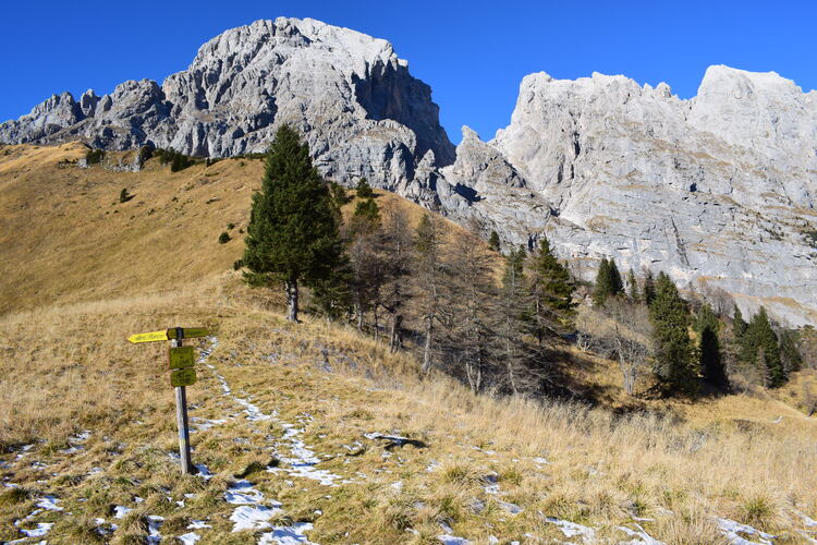 Col di Luna da Forcella Aurine (Dolomiti Agordine)