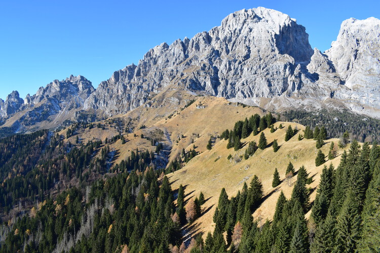 Col di Luna da Forcella Aurine (Dolomiti Agordine)