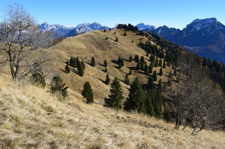 Col di Luna da Forcella Aurine (Dolomiti Agordine)