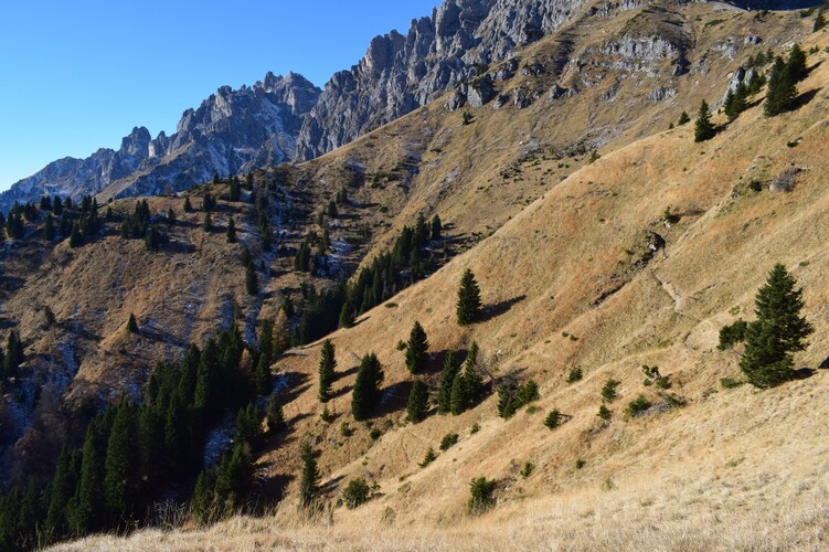 Col di Luna da Forcella Aurine (Dolomiti Agordine)