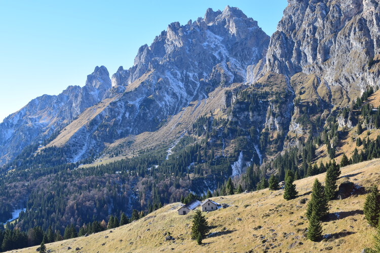 Col di Luna da Forcella Aurine (Dolomiti Agordine)