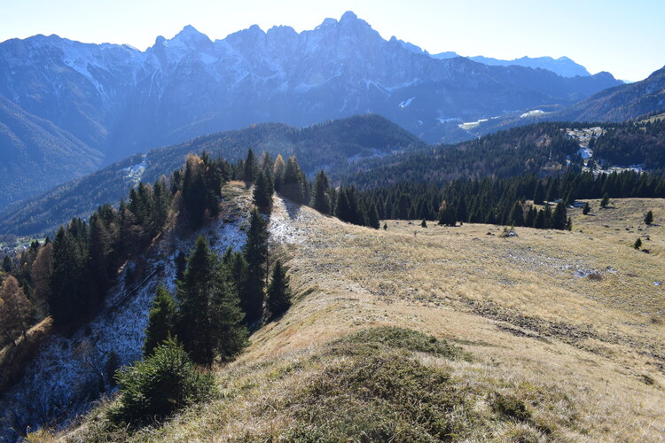 Col di Luna da Forcella Aurine (Dolomiti Agordine)
