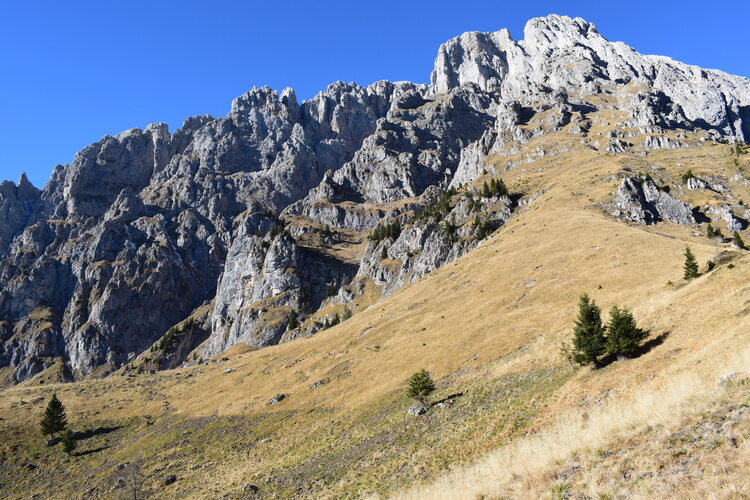 Col di Luna da Forcella Aurine (Dolomiti Agordine)