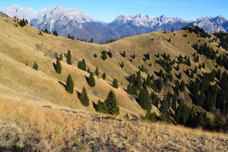 Col di Luna da Forcella Aurine (Dolomiti Agordine)