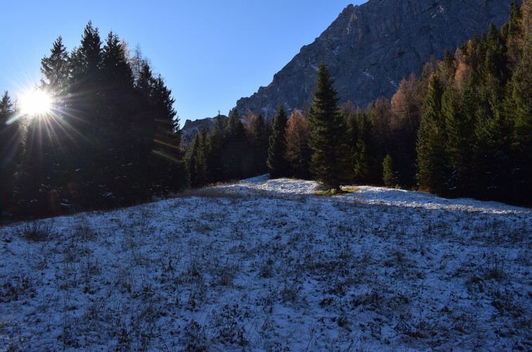 Col di Luna da Forcella Aurine (Dolomiti Agordine)