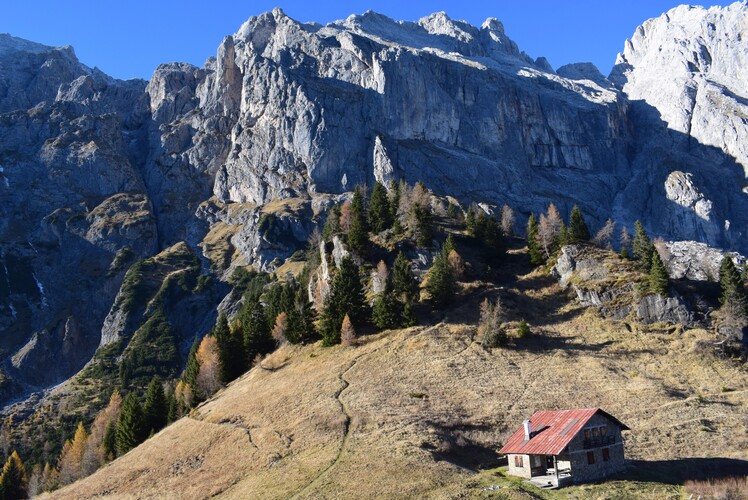 Col di Luna da Forcella Aurine (Dolomiti Agordine)