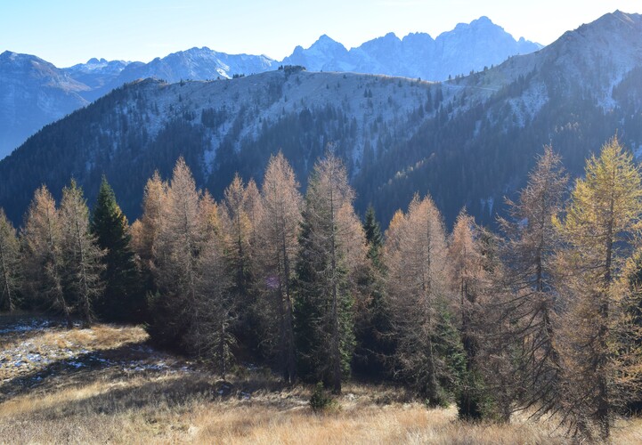 Col di Luna da Forcella Aurine (Dolomiti Agordine)