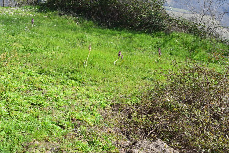 Le Barlie degli Appennini (da Pavia a Bologna)