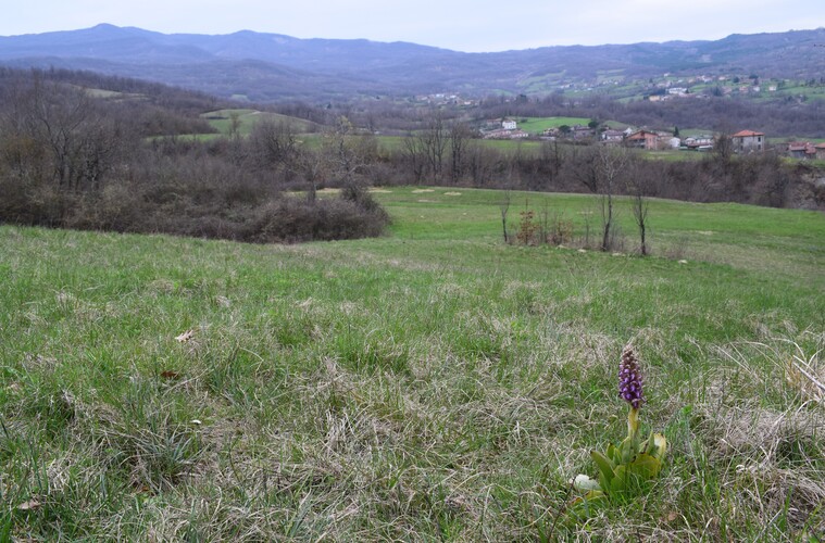 Le Barlie degli Appennini (da Pavia a Bologna)
