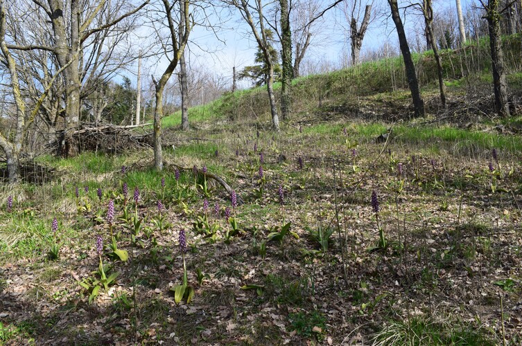 Le Barlie degli Appennini (da Pavia a Bologna)