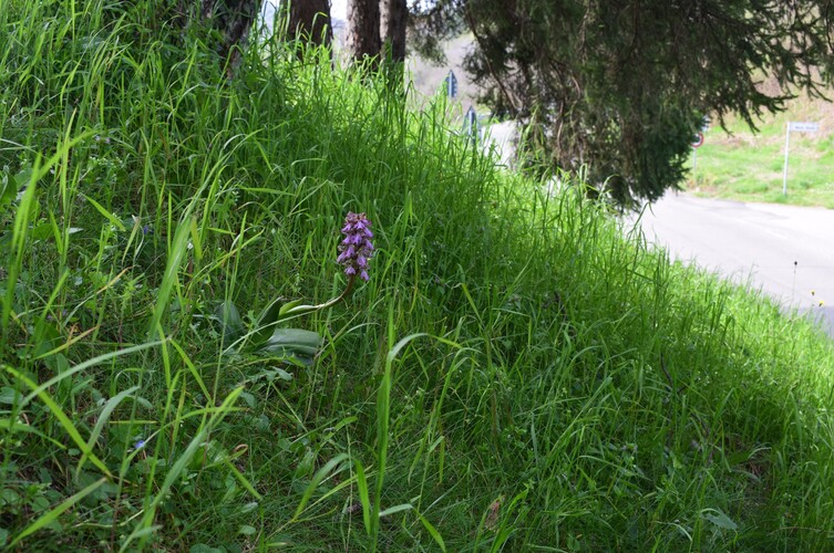 Le Barlie degli Appennini (da Pavia a Bologna)