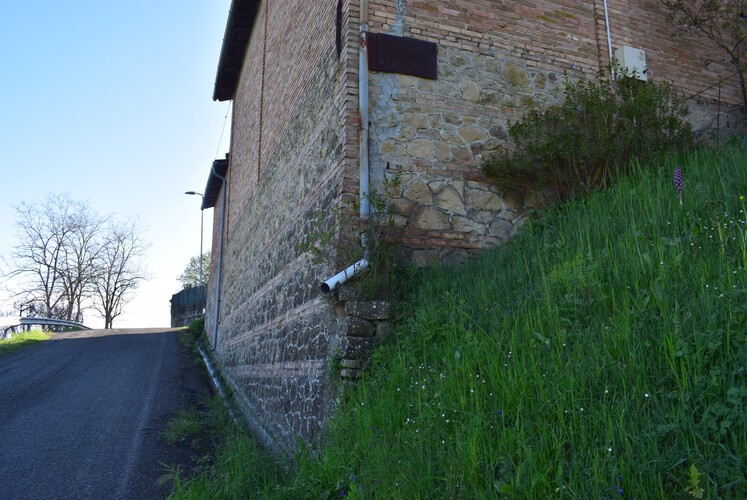 Le Barlie degli Appennini (da Pavia a Bologna)