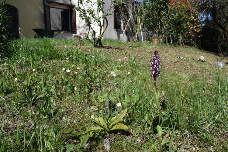 Le Barlie degli Appennini (da Pavia a Bologna)