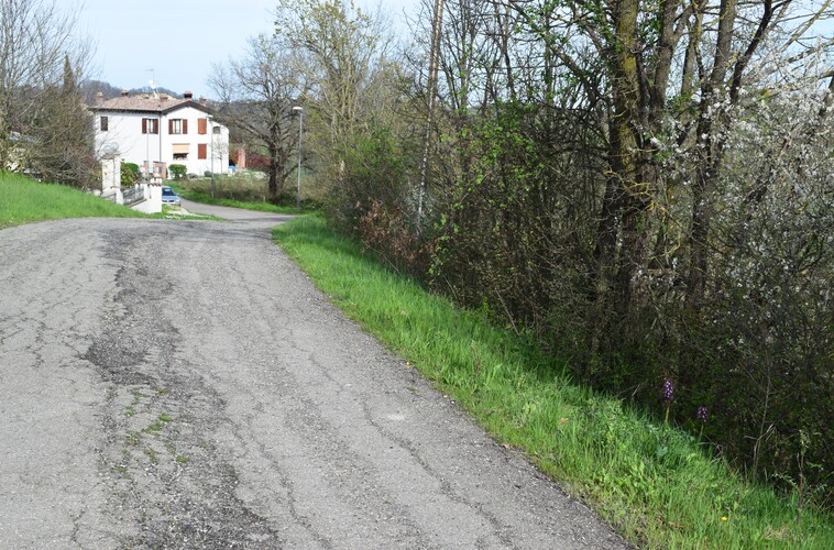 Le Barlie degli Appennini (da Pavia a Bologna)