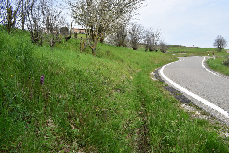 Le Barlie degli Appennini (da Pavia a Bologna)