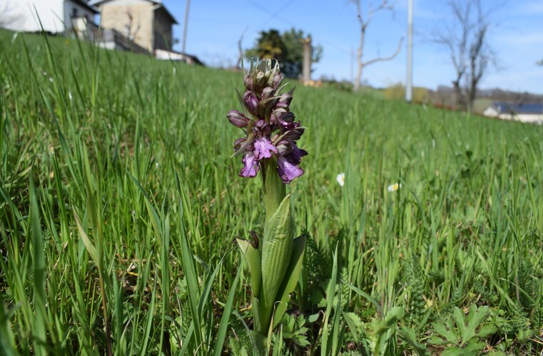 Le Barlie degli Appennini (da Pavia a Bologna)