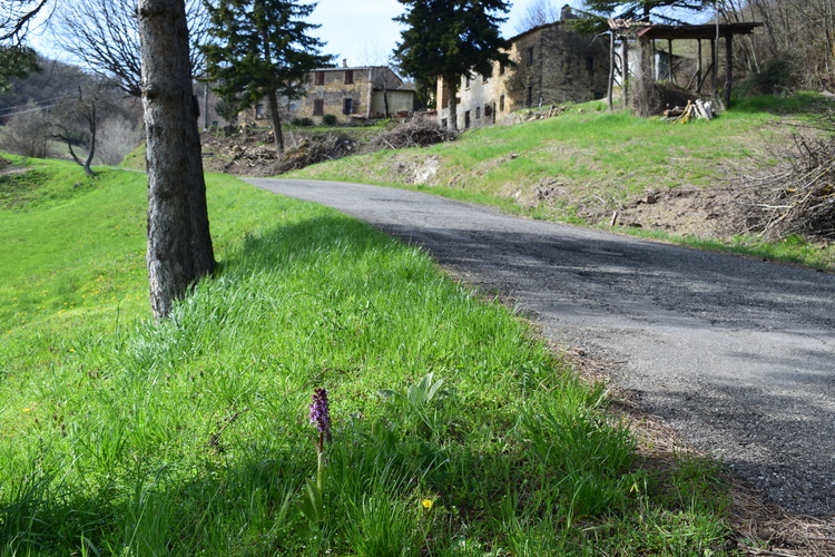 Le Barlie degli Appennini (da Pavia a Bologna)