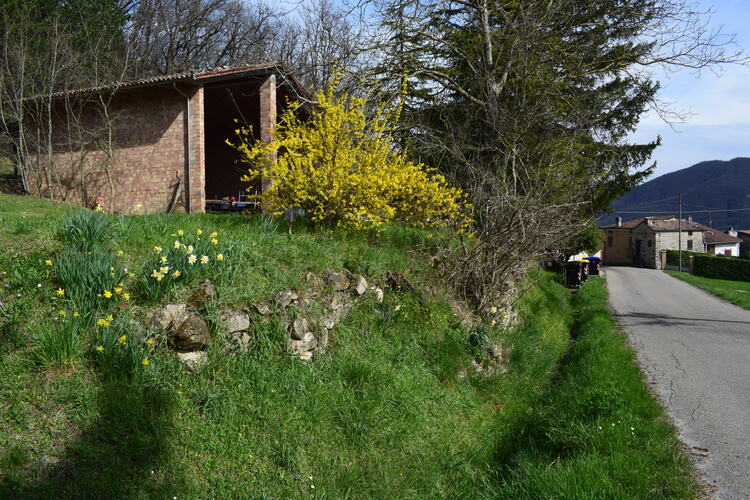 Le Barlie degli Appennini (da Pavia a Bologna)