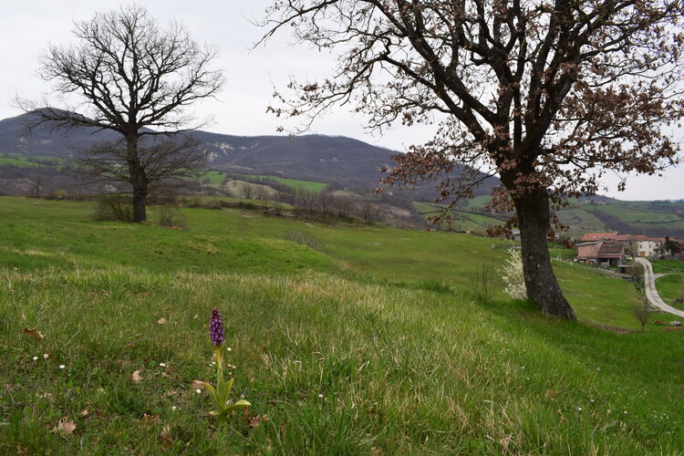 Le Barlie degli Appennini (da Pavia a Bologna)