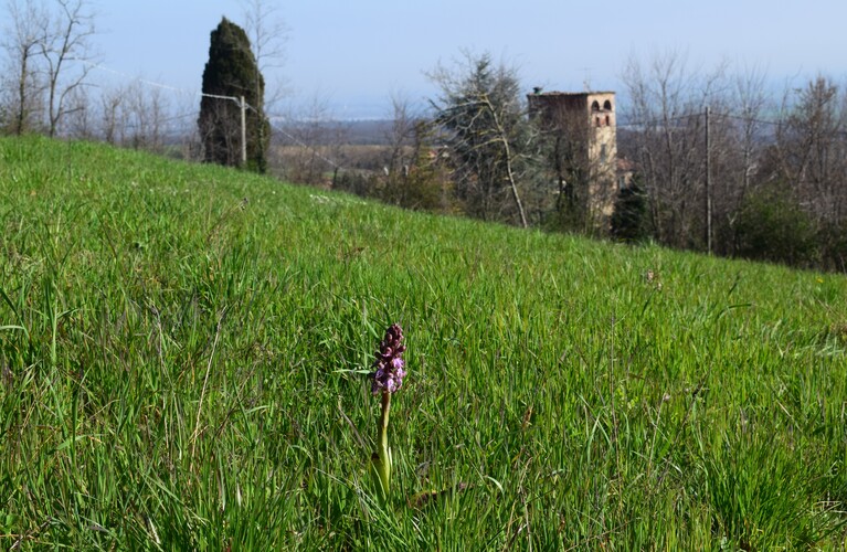 Le Barlie degli Appennini (da Pavia a Bologna)
