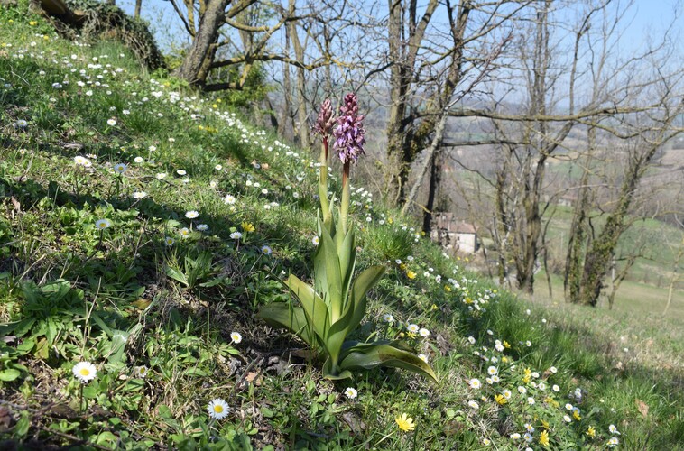 Le Barlie degli Appennini (da Pavia a Bologna)