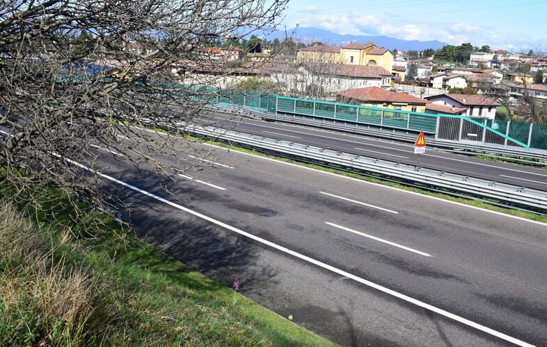 Barlia autostradalis!
