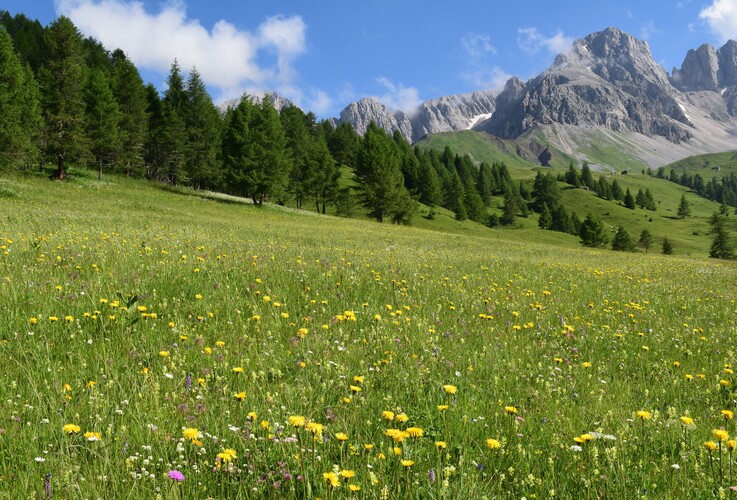 Fotocronaca di una giornata a Fuciade (Passo San Pellegrino)