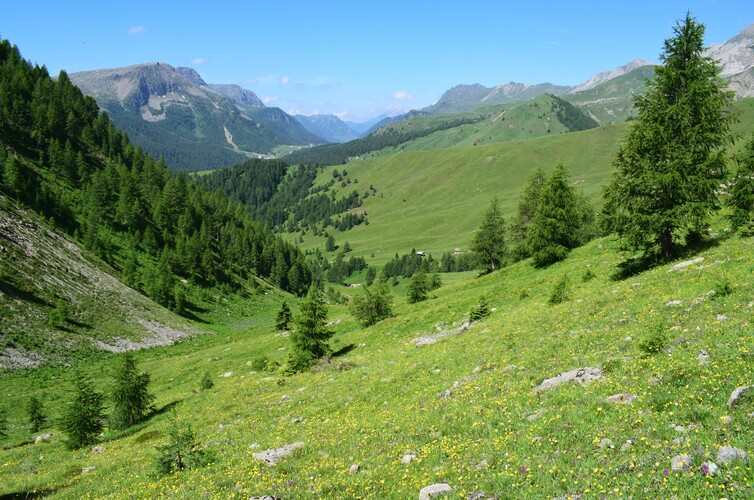 Fotocronaca di una giornata a Fuciade (Passo San Pellegrino)