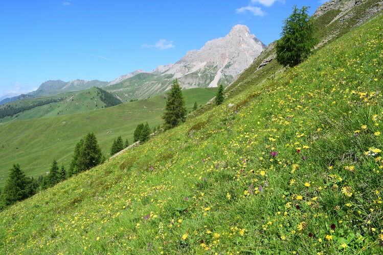 Fotocronaca di una giornata a Fuciade (Passo San Pellegrino)