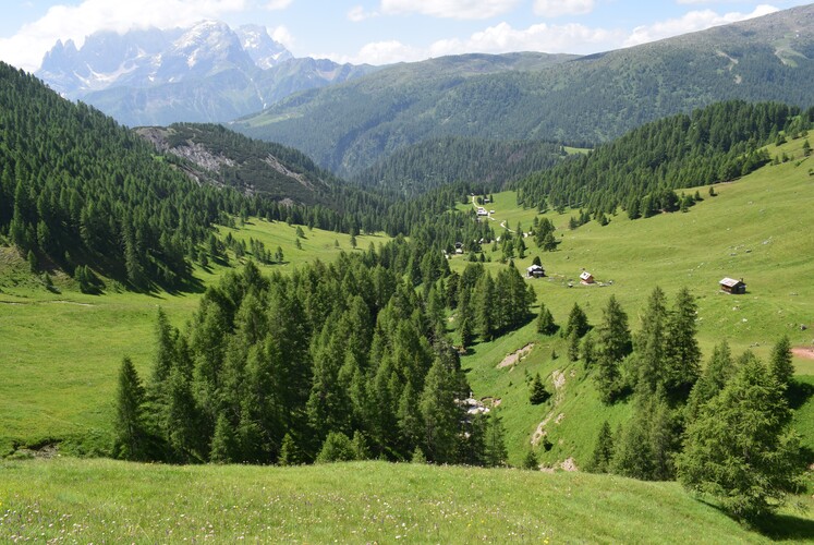 Fotocronaca di una giornata a Fuciade (Passo San Pellegrino)