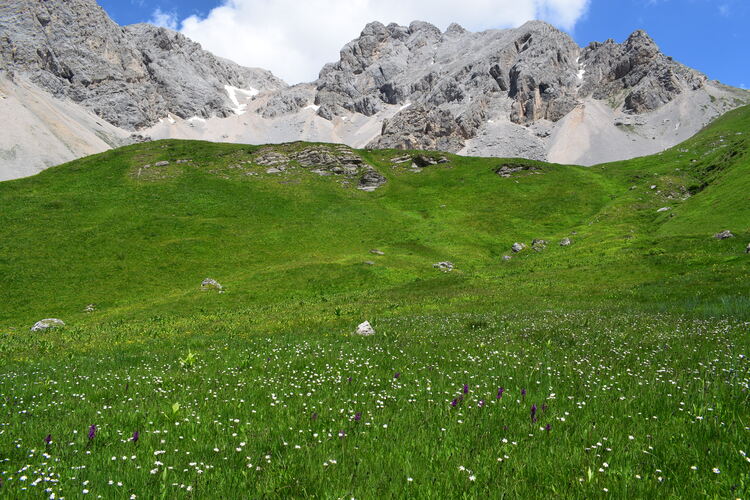 Fotocronaca di una giornata a Fuciade (Passo San Pellegrino)