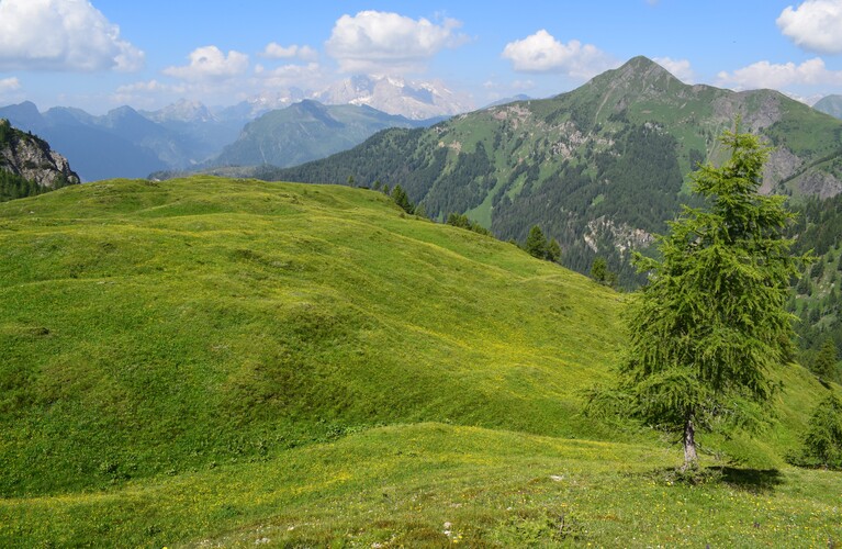A curiosare nel Pian di Possoliva (Gruppo Croda da Lago-Cernera)