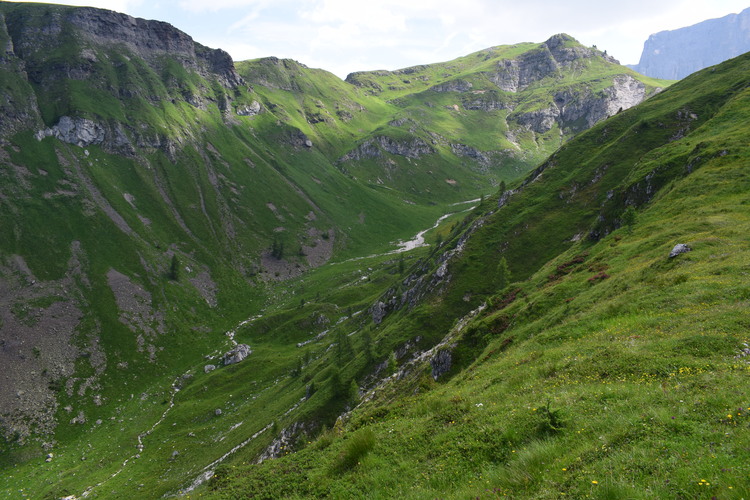 A curiosare nel Pian di Possoliva (Gruppo Croda da Lago-Cernera)