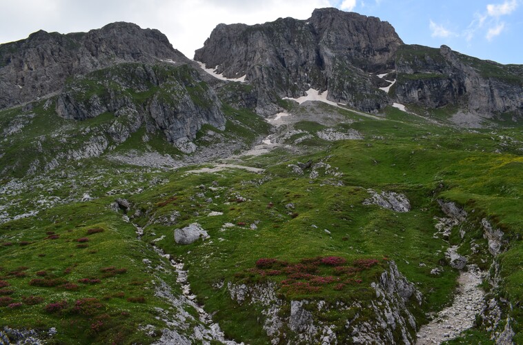 A curiosare nel Pian di Possoliva (Gruppo Croda da Lago-Cernera)