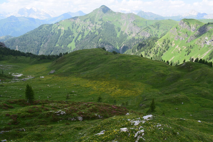 A curiosare nel Pian di Possoliva (Gruppo Croda da Lago-Cernera)