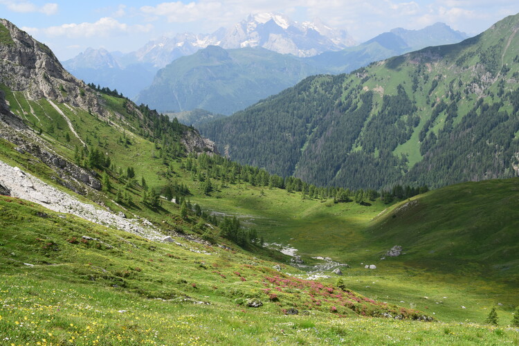 A curiosare nel Pian di Possoliva (Gruppo Croda da Lago-Cernera)