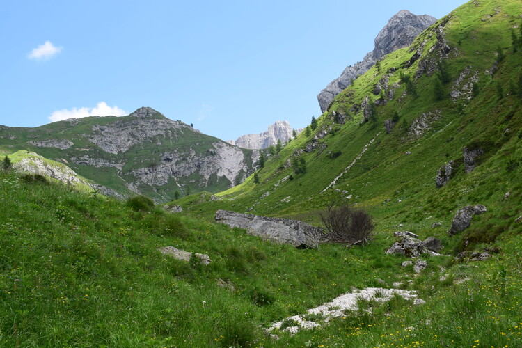 A curiosare nel Pian di Possoliva (Gruppo Croda da Lago-Cernera)