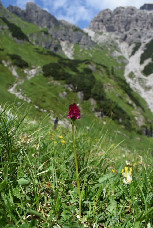 Un''occhiata a Casera Laghet de Sora (Parco Dolomiti Friulane)