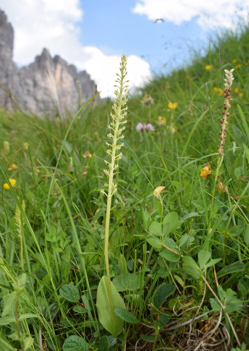 Un''occhiata a Casera Laghet de Sora (Parco Dolomiti Friulane)
