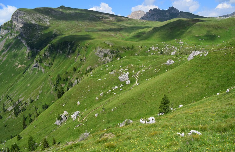 Stupore al Mondeval (Dolomiti Bellunesi)